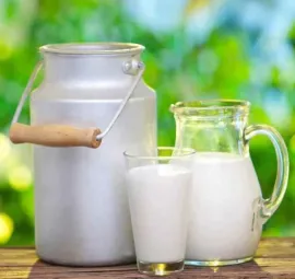 Imagen de Leche Fresca Orgánica